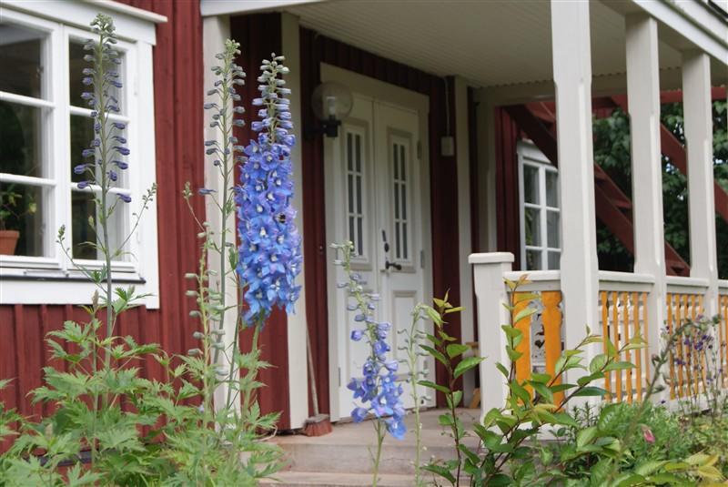 Hallagardens B&B Vintrosa Екстериор снимка